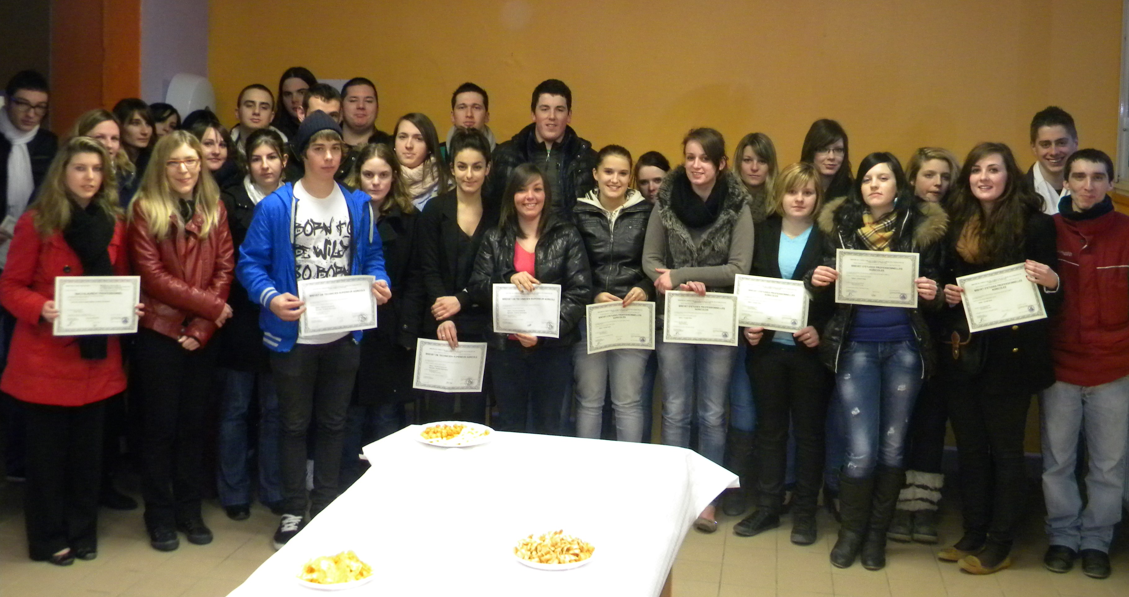 MFR Rumengol formations par alternance Bac Pro vente BTS Technico commercial